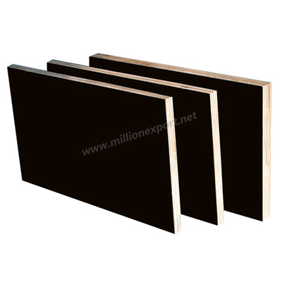 Film faced plywood 4