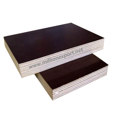 Film faced plywood 5