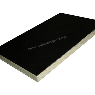 Film faced plywood 2