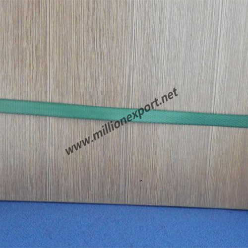 PET Strap 1